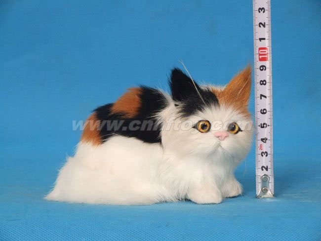 Ƥë���è��M361����㷽Ƥë����Ʒ���޹�˾