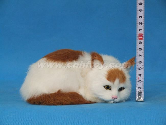 Ƥë���è��M504����㷽Ƥë����Ʒ���޹�˾