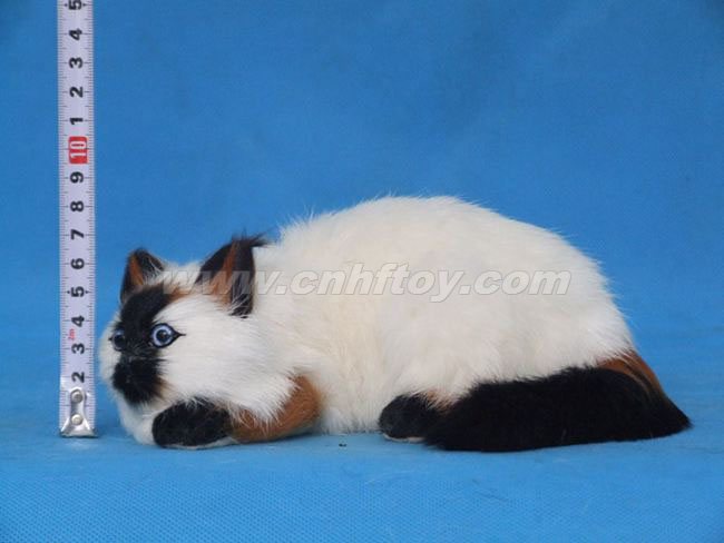 Ƥë���è��M507����㷽Ƥë����Ʒ���޹�˾